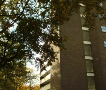 Straßburger Weg 19, 45884 Gelsenkirchen - Photo 6