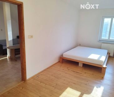 Pronájem bytu 1+1 47 m² - Fotografie 3
