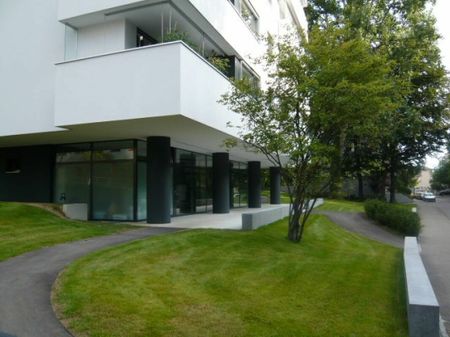 Zwischen Hallenbad und Birsig - schöne 3-Zimmer-Wohnung in Binningen - Photo 4