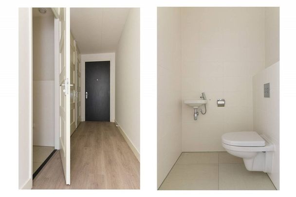 Te huur: Appartement Martinus Nijhofflaan in Delft - Photo 1