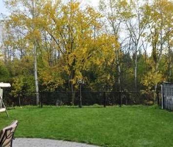 For Lease - 133 Humberland Drive Unit# Upper Level, Richmond Hill, ... - Photo 2