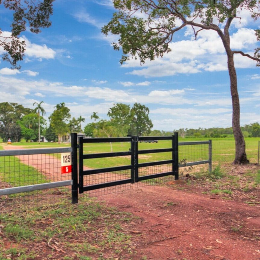 Livingstone - Photo 2