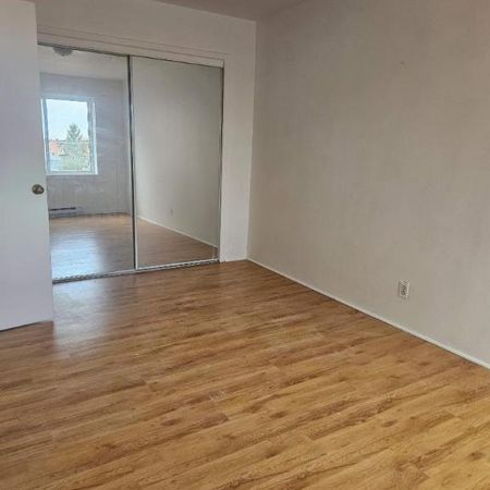 1 CH - 1 SDB - Montréal - $1,345 /mo - Photo 3