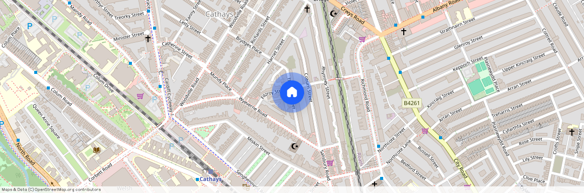 Thesiger Street, Cardiff CF24