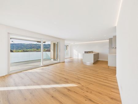 Lichtdurchflutete 4.5-Zimmer Neubauwohnung in Ermensee - Foto 4