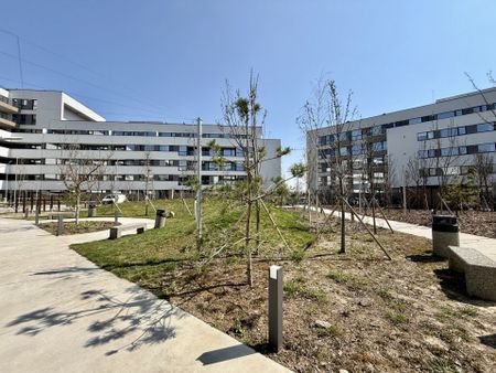 Apartament cu piscina si gradina proprie, nou, la prima inchiriere - Photo 5