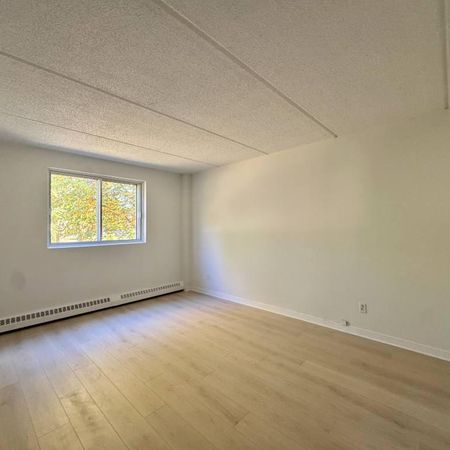 Grand appartement éclairé et chauffé - Photo 4