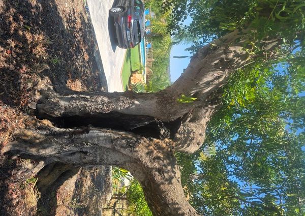 WIDE ESTATE FOR RENT IN TEULADA FOR LONG TERM