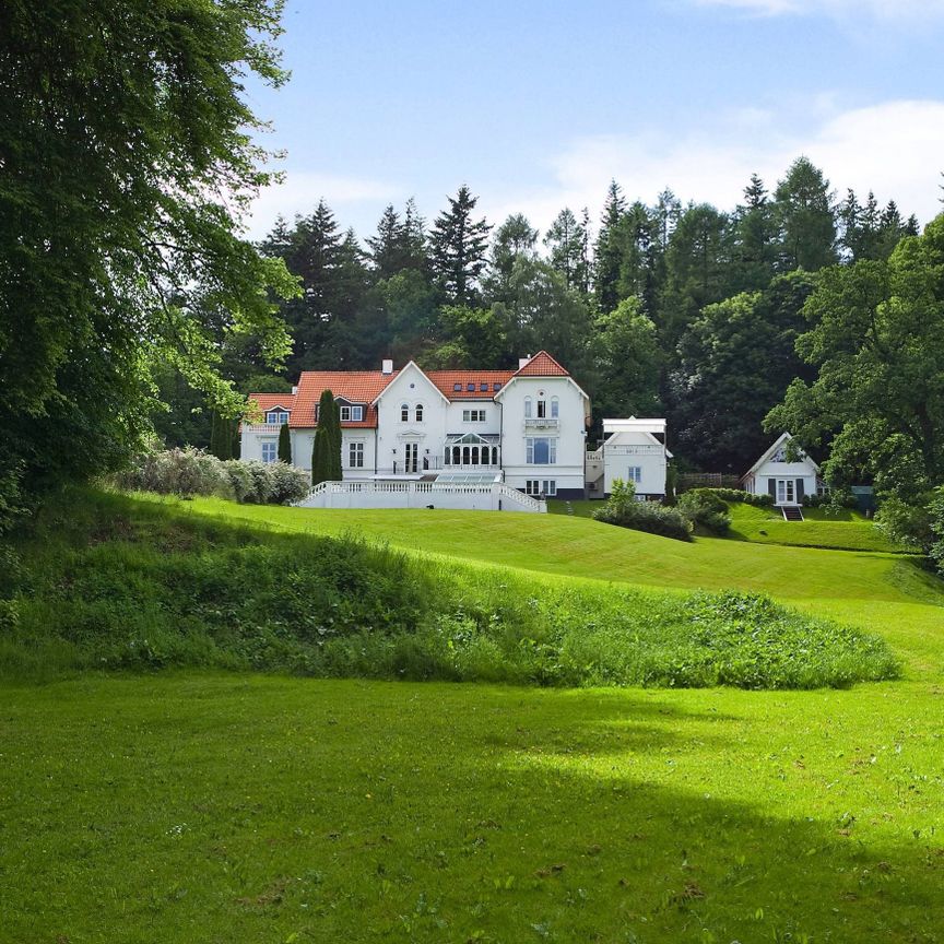 I skovens dybe stille ro! - Foto 1