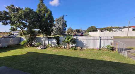 Charming 3BR Home in Tamatea - Photo 5