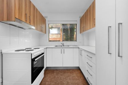 A Serene Oasis in the Heart of Summer Hill - Photo 4