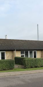 Skovsgård - Photo 4