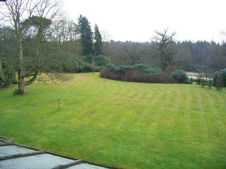 3 bedroom apartment to rent - Photo 3