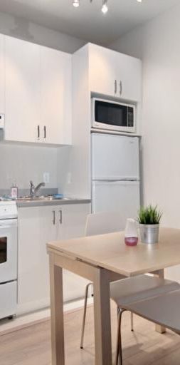 Loft entièrement meublé à louer Saint-Jean-Baptiste juillet 2026 - Photo 1