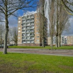 Zuidervaart, 1504 Zaandam, Nederland - Photo 3