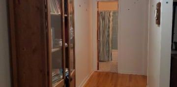 3 1/2 tranquil et spacieux à Saint Lambert - Photo 2