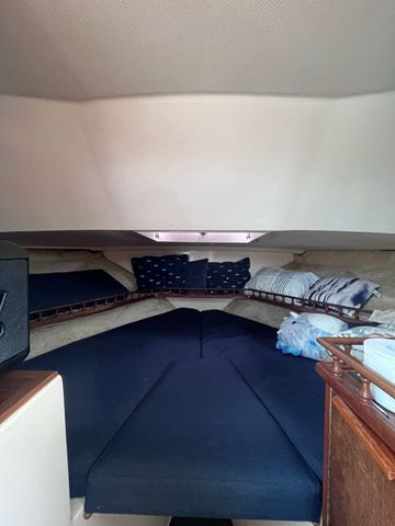 Sans Souci - Photo 4