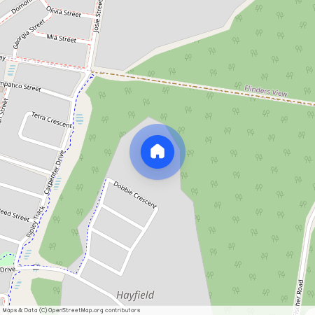 53 Glassey Parade, Qld 4306, Ripley