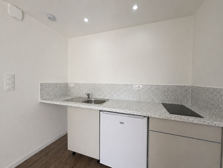Location Appartement 1 pièce 21m² NANCY 54000 - Photo 3