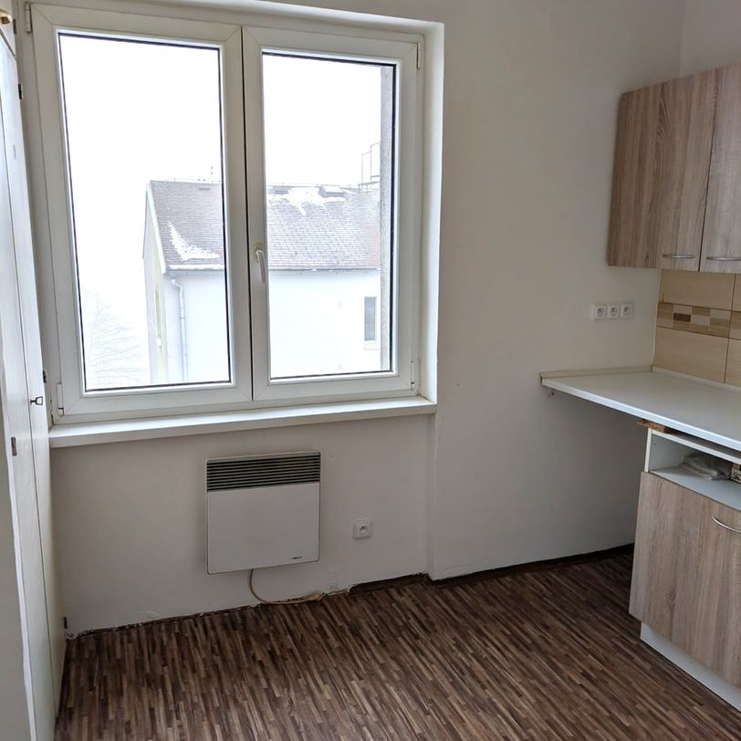 Pronájem bytu 1+1 v osobním vlastnictví 36 m², Tisá - Фото 1