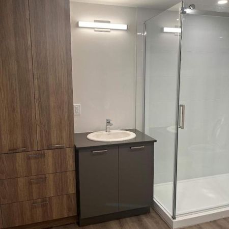 1 CH - 1 SDB - Terrebonne - $1,695 /mo - Photo 4