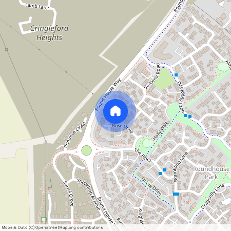 Honeysuckle Close, Norwich NR4