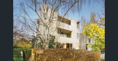 Renovated Ground Floor Elegance in Botanic Gardens Precinct - Will Not Last - Photo 4