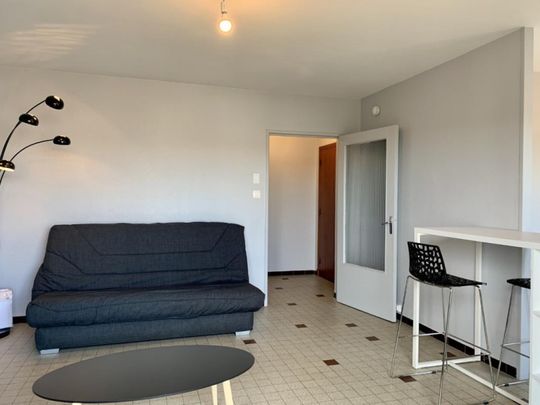 Appartement T1 à louer à Roanne - IUT - Photo 1