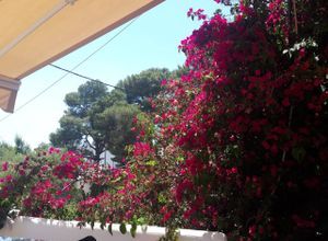 Διαμέρισμα για ενοικίαση - Κορωπί, - Photo 5