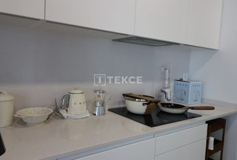 Badalona, La Morera, Barcelona, Catalonia 08918