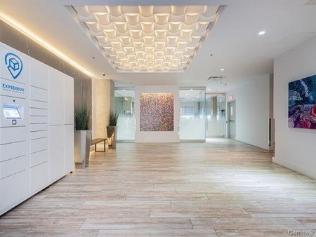 Condo for rent, Montréal (Ville-Marie) - Photo 4