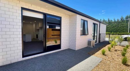 Modern Standalone Home in Exclusive Magnolia Creek - Photo 5