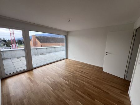 Dream apartment with huge roof terrace with evening sun - Photo 5