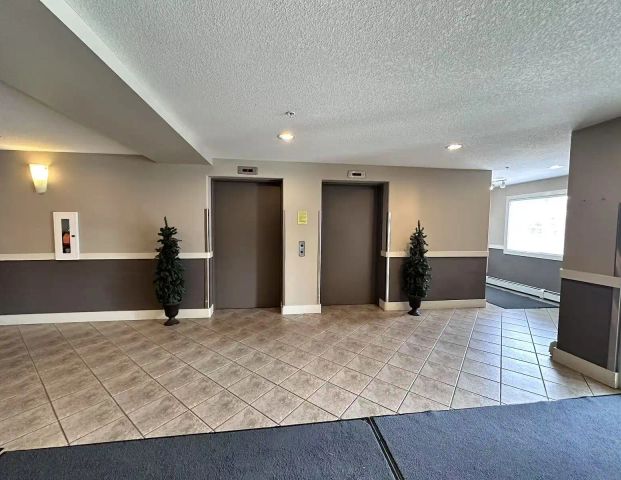 Luxurious 2BR + 2BA Condo for Rent in McEwan Complex! — 2 Bedrooms Condo Unit - Photo 1