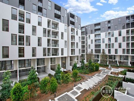 307/2 Scotsman Street, Glebe NSW 2037 - Apartment For Rent | Domain - Photo 2