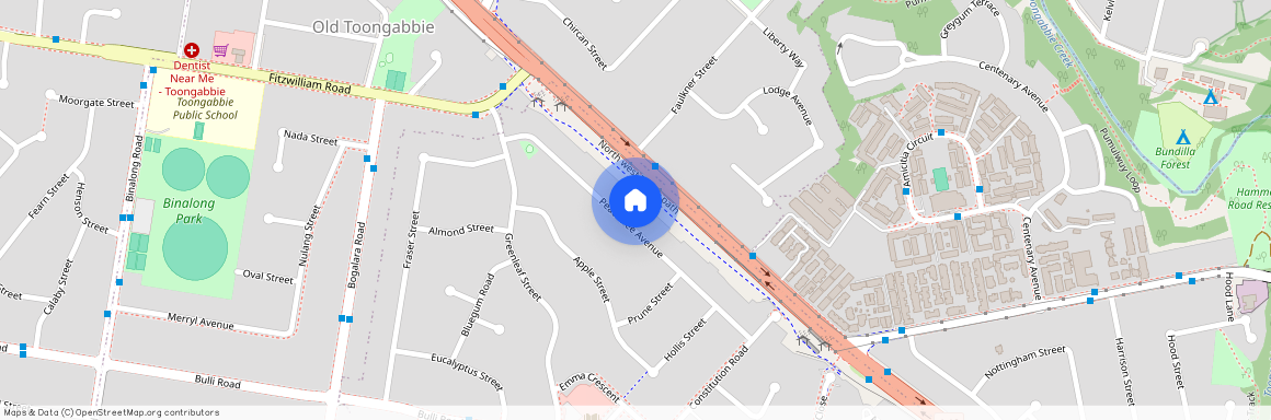 35 Peachtree Avenue, NSW 2145, Constitution Hill