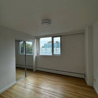 1bd 1bath apartment available for rent - Photo 3