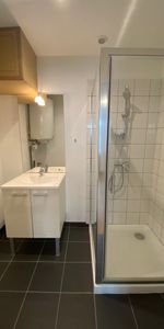 Location Appartement 1 pièce 25m² NANCY 54000 - Photo 4