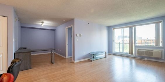 1 Bedroom - 1280 Rue Saint-Jacques, Montréal - Photo 3