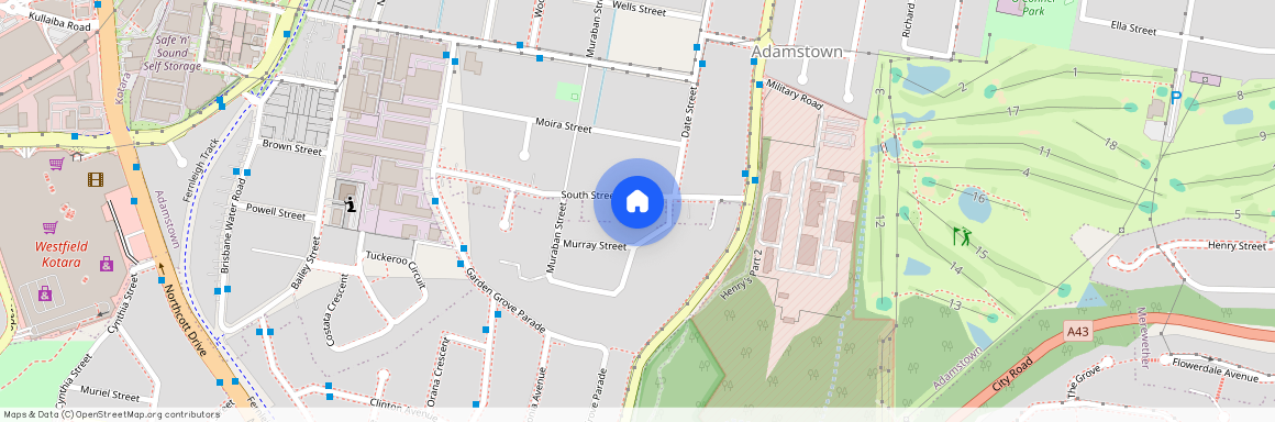 17 South Street, Adamstown NSW 2289