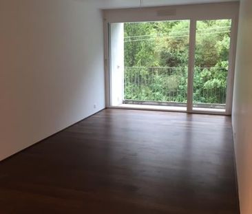 "Wohnen im Berg- und Skigebiet (keine Ferien- oder Saisonwohnung)" - Photo 3