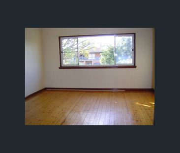 BYO Curtains & Lawn Mower & Make this pet friendly place yours! - Photo 3