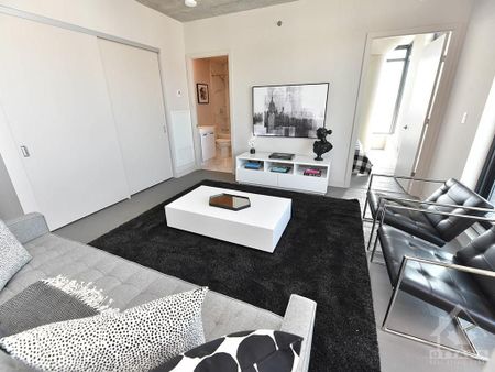 For Lease - 203 CATHERINE Street Unit# 314, Ottawa Centre, Ontario - Photo 2