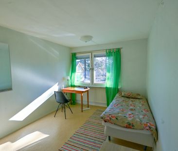 Skolkvior, Klintehamn - Foto 5