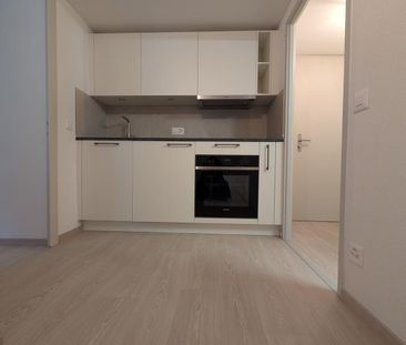 Renovated 2-room apartment on the 3rd floor - Photo 5