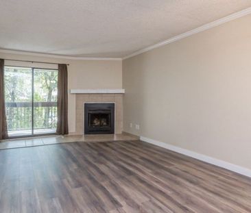 10560 154 St, Surrey, BC V3R 8A3, Canada - Photo 3