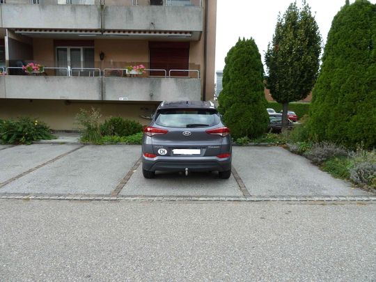 4.5 Zimmer, 100 m², 2. Stock - Photo 1