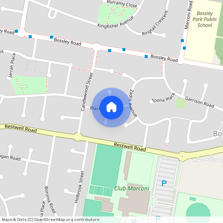 1A Parr Close, NSW 2176, Bossley Park