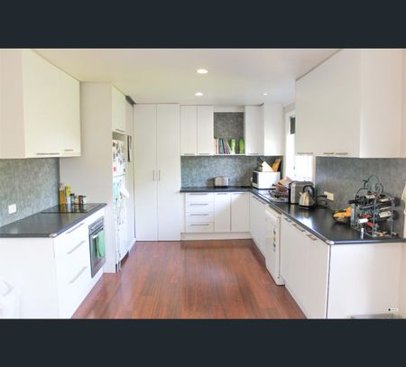 397 Schubach Street, East Albury, NSW 2640 - Photo 4