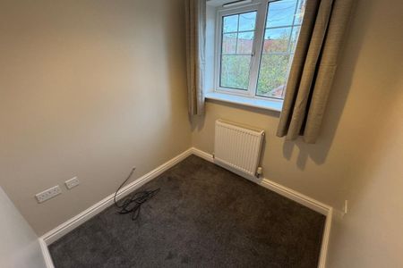 Mouse Lane - Photo 3